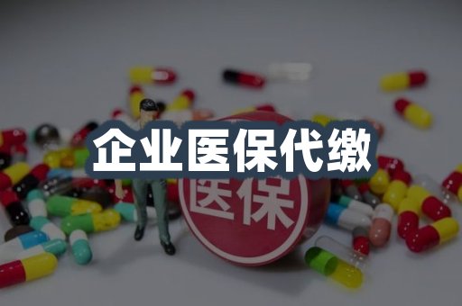 企业医保代缴