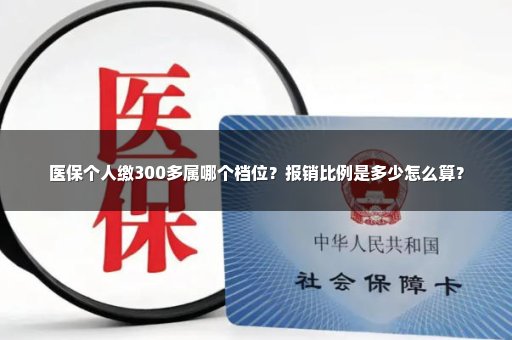 医保个人缴300多属哪个档位？报销比例是多少怎么算？
